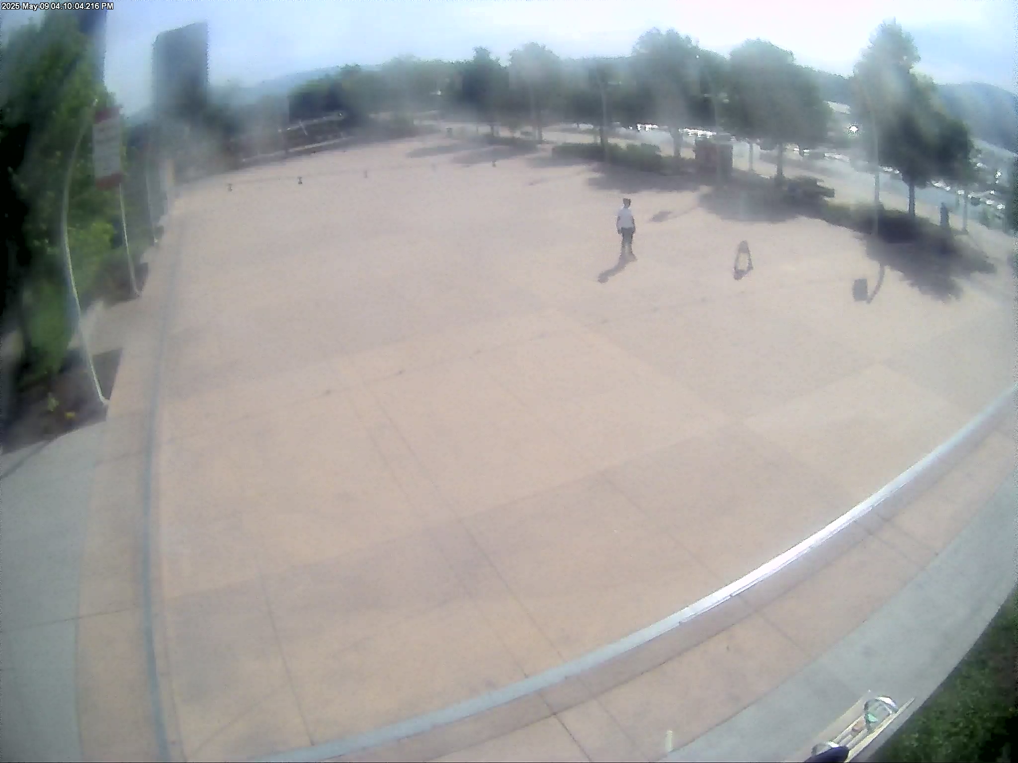 Stuart Park Web Cam